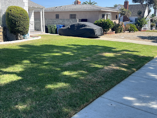 JoshAssemblesFurniture