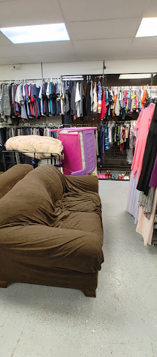 Magical New Beginnings