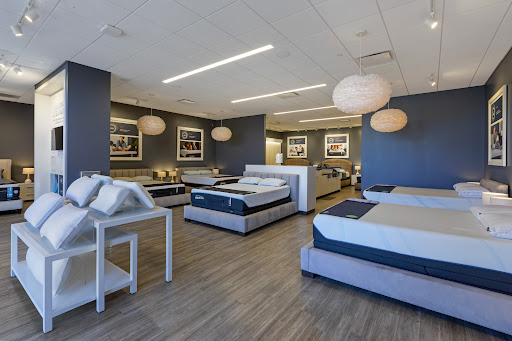 Tempur-Pedic Flagship Store