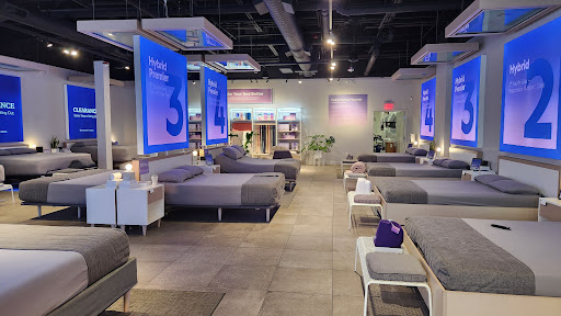 Purple - Las Vegas Premium Outlets N.