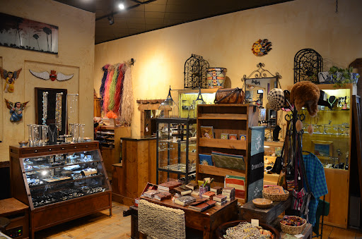 Iguana Import Gallery