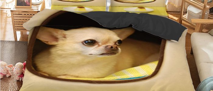 Muebles de interior estilo Chihuahua: elegancia y diseño contemporáneo