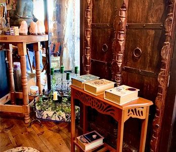 Galería de Iguanas Importadas – Fotos de Alta Calidad de Reptiles Exóticos