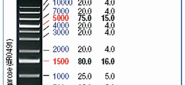 KB Plus: Herramienta de Productividad y Gestión de Datos – Descubre sus Funciones