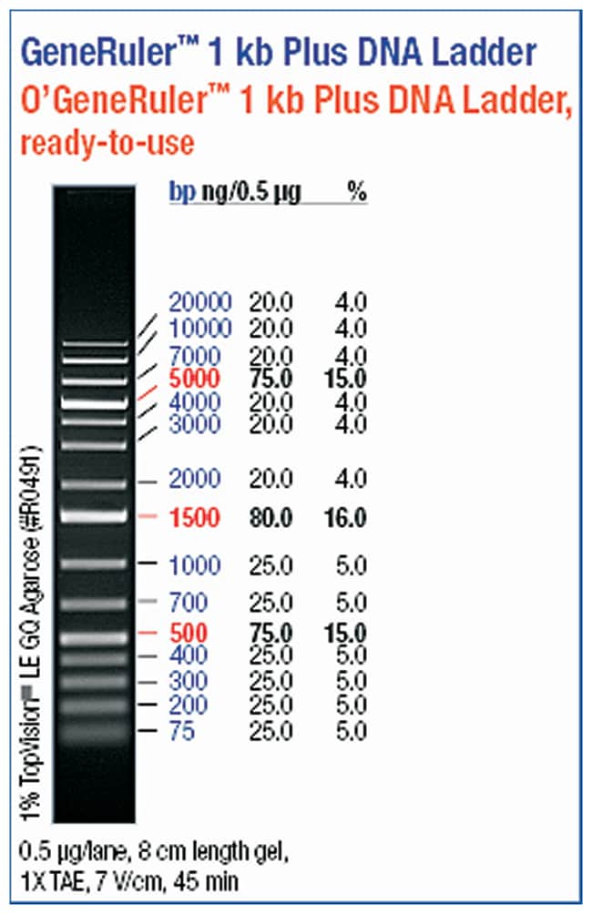 KB Plus: Herramienta de Productividad y Gestión de Datos – Descubre sus Funciones