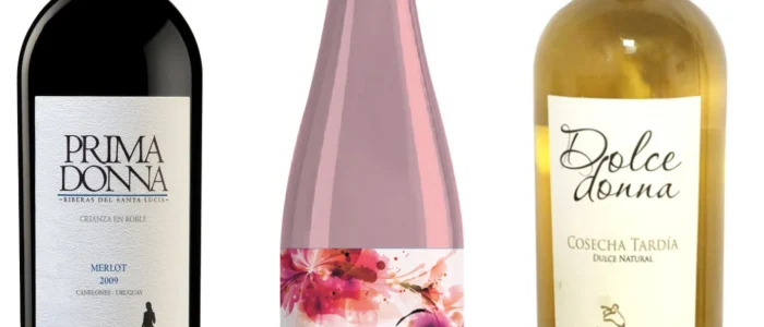 La Bodega 1 Donna – Vinos premium, cata y tradición en una experiencia única