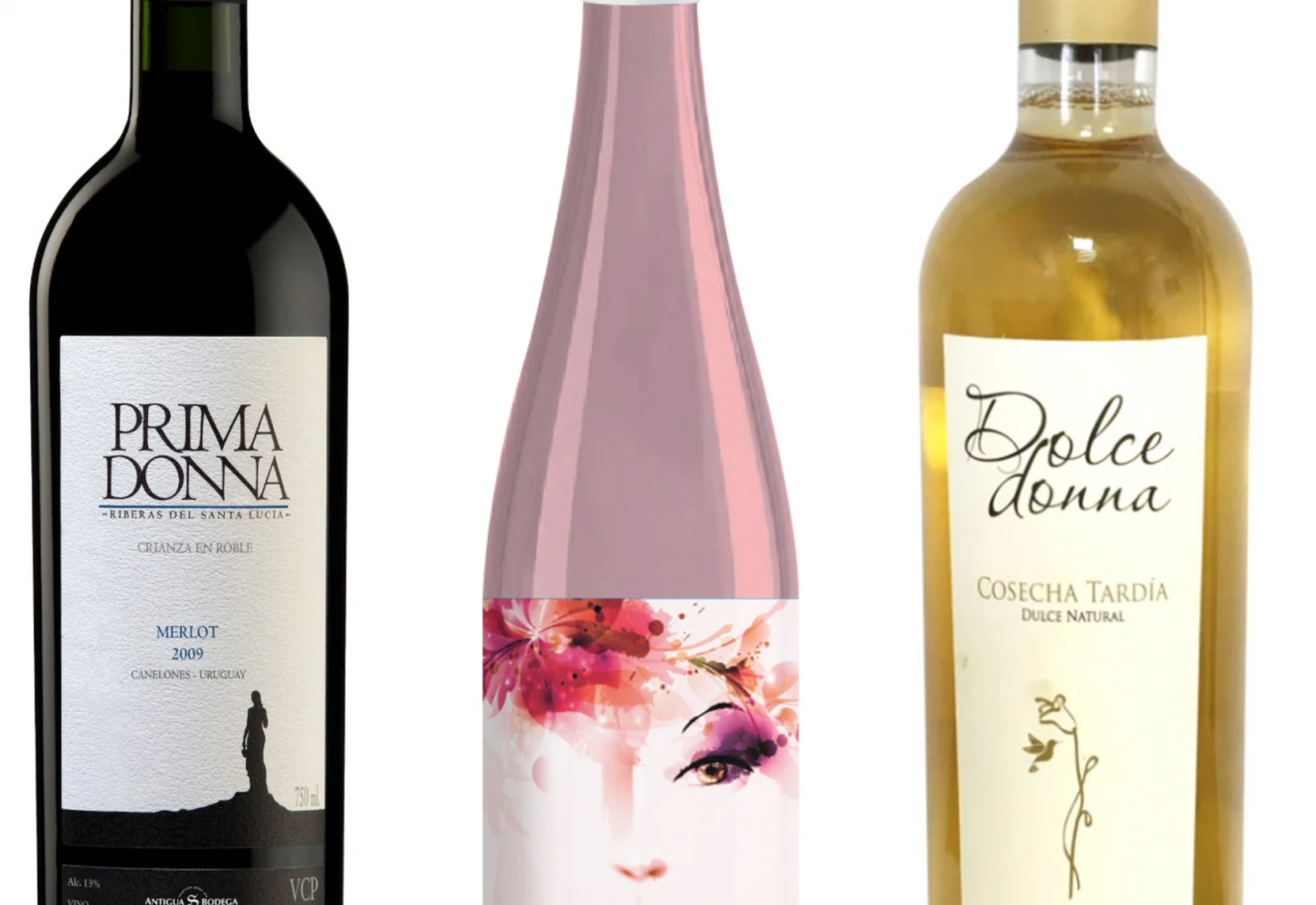 La Bodega 1 Donna – Vinos premium, cata y tradición en una experiencia única