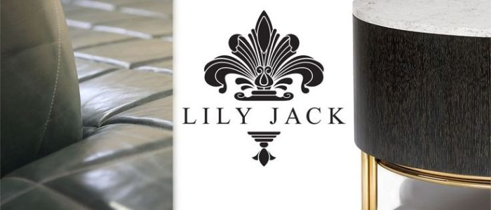 Lily Jack: Retrato de moda elegante – foto profesional de la famosa actriz y modelo