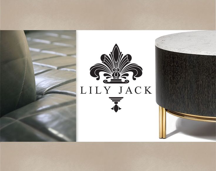 Lily Jack: Retrato de moda elegante – foto profesional de la famosa actriz y modelo